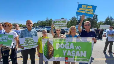 Doğa ve Yaşam Platformu: Türkiye'nin hiçbir yerinde bir karış toprağımızı, bir ağacımızı bu yağmacı düzene vermeyeceğiz