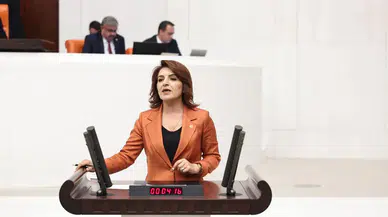CHP Mersin Milletvekili Gülcan Kış: Emekli ve asgari ücretli açlık sınırının altında