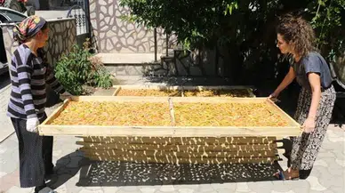 Anne-kız 'incir cipsi' ile girişimci oldu