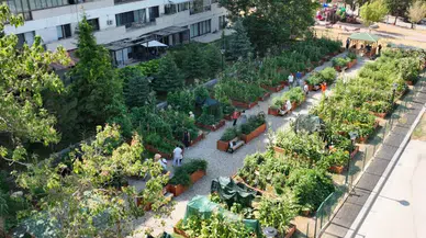 Çankaya'da Kent Bostanı Güz Eğitimleri Başlıyor, Başvurular Alınıyor