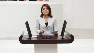 CHP'li Gülcan Kış Saray'ın israfı eleştirildi: Her saat 72 asgari ücret harcanıyor!