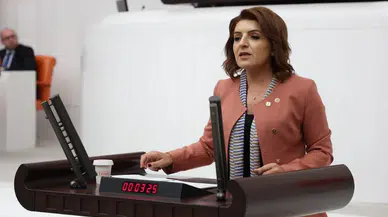 CHP'li Gülcan Kış: 4 milyon NEET genç sahipsiz, acil çözüm şart!