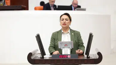 CHP, engelli bakımı için sosyal destek talepleri Meclis'e taşıdı