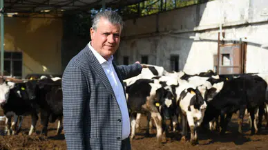 Hayvancılıkta Kriz: İktidarın İthalat Planına YENİ Parti'den Sert Tepki Geldi