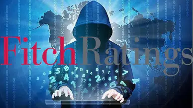 Türk Hack Team isimli grup Fitch'in internet sitesini erişime kapattı