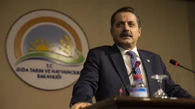 Bakan Çelik: Türkiye'nin başına tek kaptan geliyor