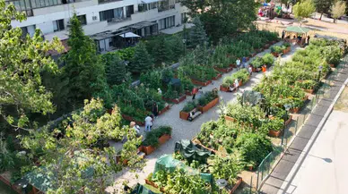 Çankaya'da Kent Bostanı Eğitimleri Başlıyor: Tarım Meraklılarına Fırsat!