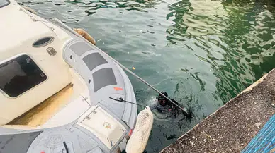 İzmir İtfaiyesi, Karşıyaka'da sıkışan kediyi 20 dakika içinde kurtardı