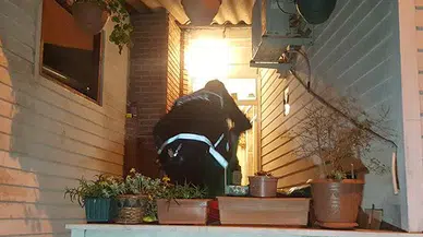 Özel Harekat destekli uyuşturucu operasyonu