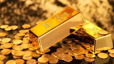 20 Ocak 2026 Altın Fiyatları