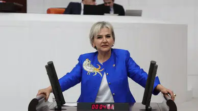 CHP'li Nimet Özdemir'den çocuk istismarı soruşturmasına detaylı inceleme talebi çağrısı