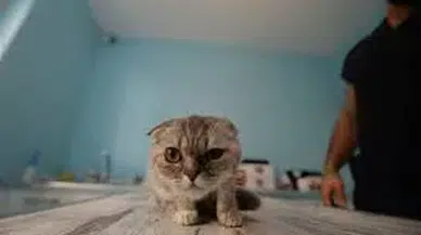 5 günde 1000 kişi başvurdu !