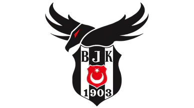 Beşiktaş Avrupa'da Fırtına Gibi Esti! Hoffenheim'ı 3-2 Mağlup Ederek İkinci Galibiyetini Aldı