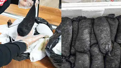 Kayseri Havalimanı'nda Şaşırtan Kaçakçılık Girişimi! 25 Bin Canlı Sülük Ele Geçirildi