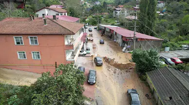 Zonguldak'ta Heyelan Paniği! Toprak Kaydı, Ağaçlar Devrildi
