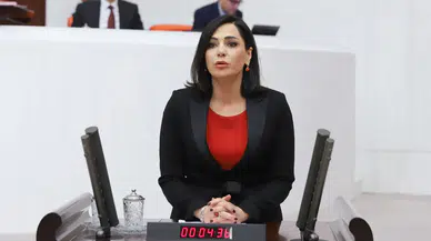 CHP'li Yüceer, Aile ve Sosyal Politikalar Bakanlığı 2017 yılı bütçesini değerlendirdi