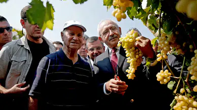 CHP'den 'Büyük Üzüm Mitingi'