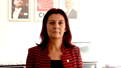 CHP'li Karabıyık:'İktidarın Milli Eğitim'deki Siyasi Çabalarını Görüyoruz!'