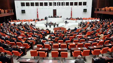 Türkiye-Hollanda Meclis Dostluk Grubu Başkanı'ndan açıklama