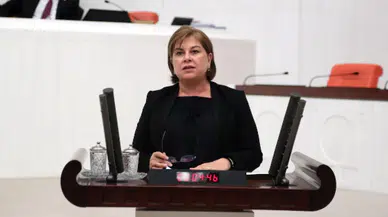 CHPli Elif Doğan Türkmen: Çiftçiye 300 koyunun temini nereden yapılacak?