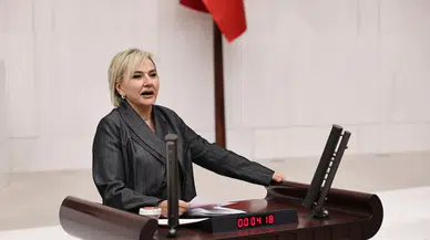 CHP'li Nimet Özdemir: Hayvanlara yapılan zulüm, toplumsal şiddeti besliyor!