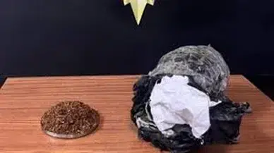 Bonzaiyi kekik sanıp mangalda kullanmıştı... Akılalmaz olayla ilgili yeni gelişme