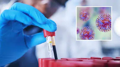 ABD, ölümcül virüslerin laboratuvarda araştırılması yasağını kaldırdı