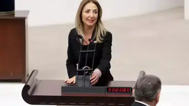 Atatürk Orman Çiftliği'ndeki oto pazarı Meclis gündeminde