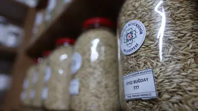 Muğla’dan Türkiye’nin 81 İline 3 Milyon Ata Tohumu Gönderildi