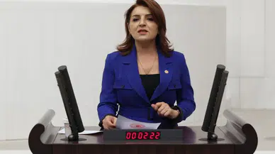 CHP’li Gülcan Kış’tan Çocuk Politikaları Eleştirisi: “Yasaklar Tek Başına Çözüm Değil”