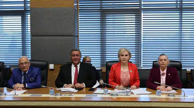 CHP’li Nimet Özdemir’den komisyonda sert çıkış: “Suçlu hayvanlar değil, ihmaldir”