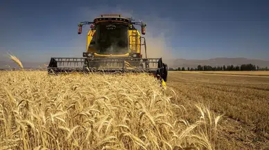 Tarım-GFE şubatta yükseldi: Tarımsal girdi fiyatlarında yıllık artış yüzde 31,55 oldu