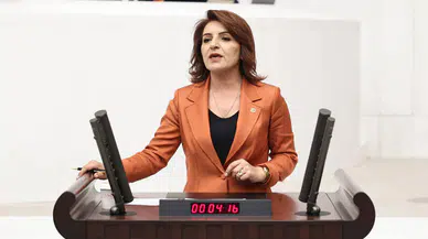 CHP'li Gülcan Kış’tan bütçe tepkisi: “İhmal zinciri Saray’ın bütçe tercihlerinde başlıyor”