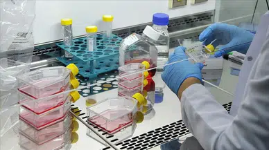 Türkiye’nin ilk özgün ilaç adayı RS-0139’da kritik eşik aşıldı: Faz 1 başarıyla tamamlandı