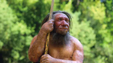 Yağlı bir göbeğin sebebi Neandertal atalarımız olabilir mi?
