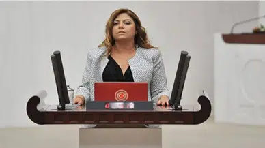 CHP'li Altıok: OHAL kültür ve sanata ağır bir saldırıya dönüştü