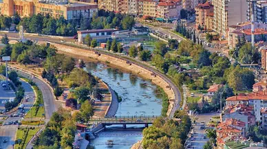 Tokat'taki boş arazide hayvan kemikleri bulundu