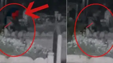 Mezarlıktaki 'gizemli kız' bulundu