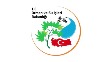 Milletin parası böyle çöpe atıldı