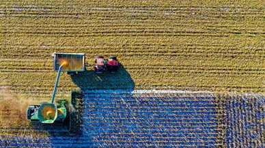 Çiftçilere 30 milyon avroluk hibe desteği: IPARD III 11. çağrı yayımlandı