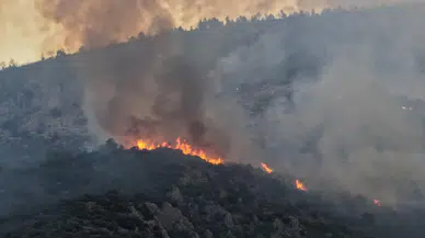 Antalya'da Alevlerle Amansız Mücadele: Kaş Yangınında Son Durum!