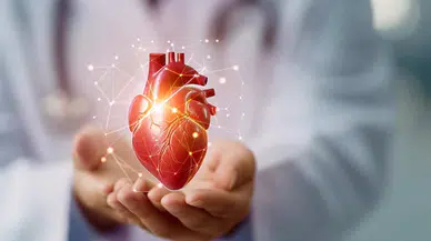 Kalp Sağlığı İçin Nelere Dikkat Etmeliyiz? Kalp Hastalıkları Belirtileri Nelerdir? Kalp Nedir?