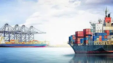 Rusya, bazı tarım ürünlerine getirilen ihracat yasağını kaldırdı