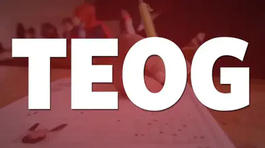 TEOG GELİP GEÇİCİ, AİLE İLİŞKİSİ KALICI