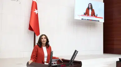 Süper İzin Yasası ile maden ruhsatlarında endişe verici artışlar konusunda YENİ Partili Rızvanoğlu uyardı!