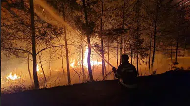 Muğla'da Yangın Riski Artıyor, Anız Yakımına Dikkat Uyarısı Yapıldı
