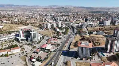 Kırıkkale'de, zehirli yem ile güvercin katliamı
