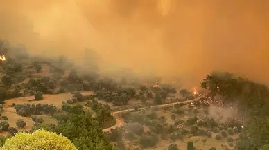 Muğla Seydikemer yangını Antalya Kaş sınırlarına sıçradı
