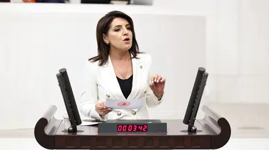 Mersin'de Muz Üreticisi Krizde: CHP'li Kış'tan Destek Politikası Çağrısı