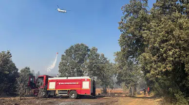 Muğla'daki orman yangınına müdahale, hayvanlar için acil yardım seferberliğiyle desteklendi